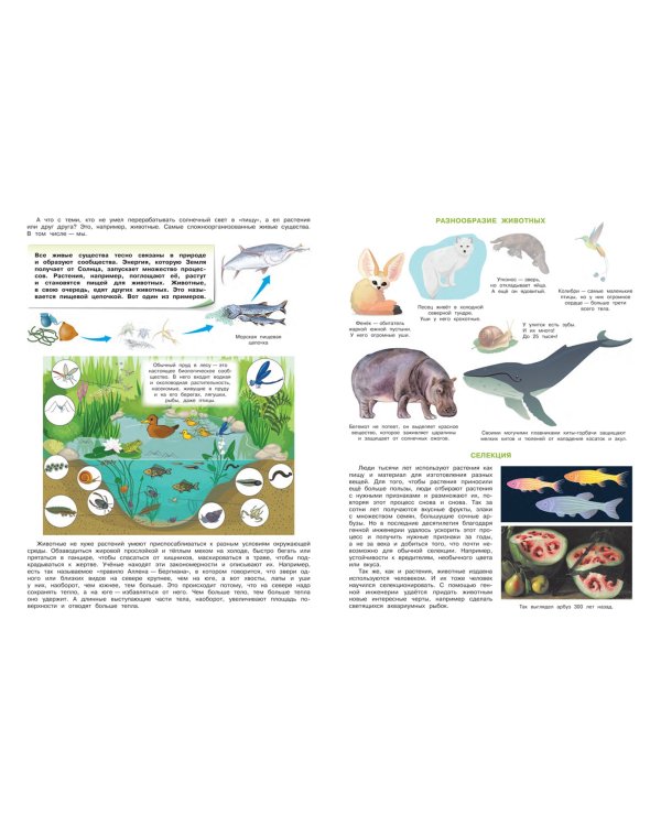 Планета Земля