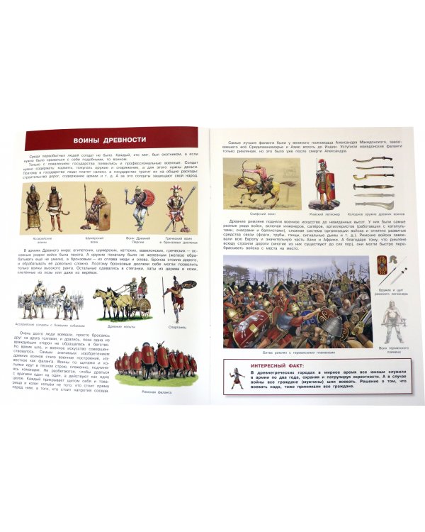 Солдаты. От древнего войска до армии будущего