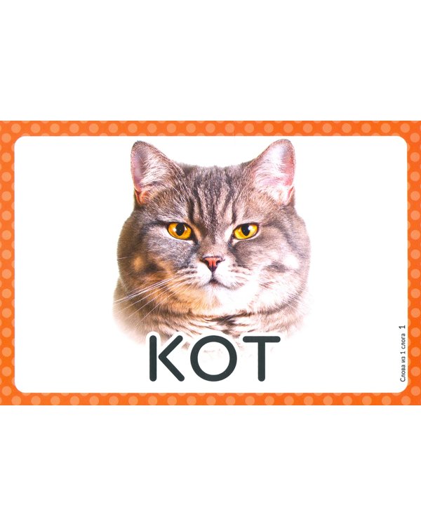 Запускаем речь. Слова из 1 слога. 34 карточки