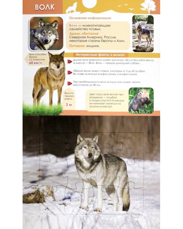 Дикие животные