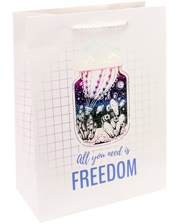 Пакет подарочный "Все что нужно - свобода", 18х23х10 см