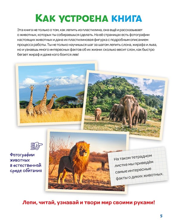 Лепим из пластилина слона, жирафа, льва