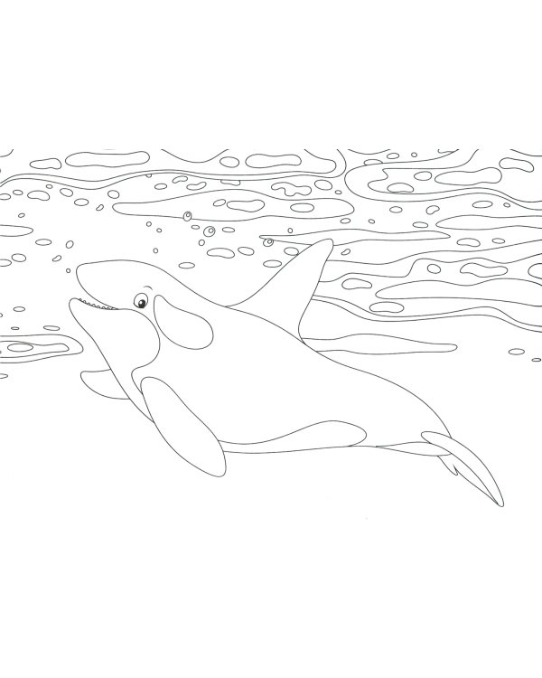 Подводный мир. Раскраски для малышей