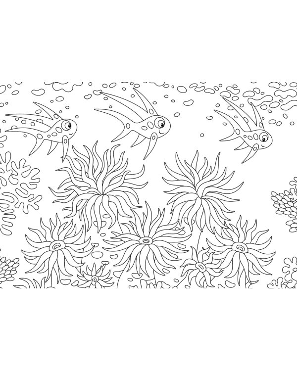 Подводный мир. Раскраски для малышей