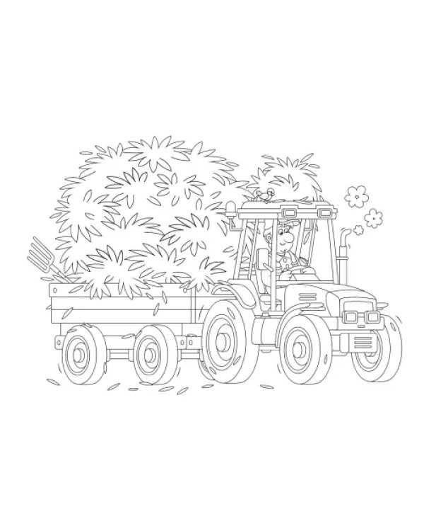 Транспорт. Раскраски для малышей