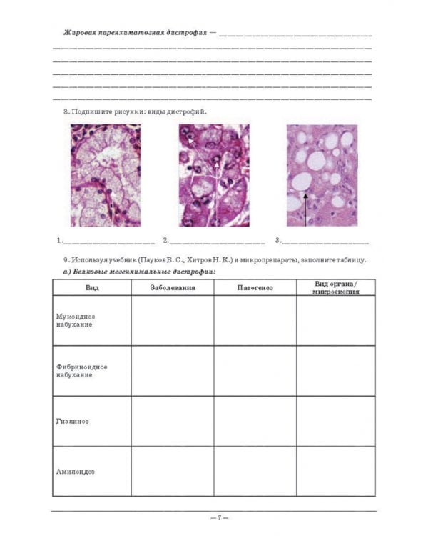 Основы патологии. Рабочая тетрадь