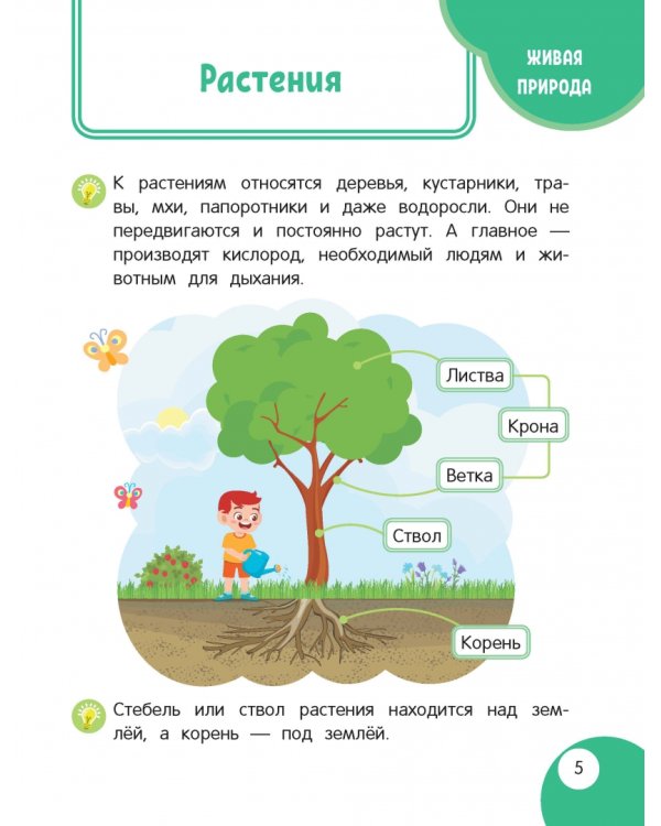 Моя первая книга открытий. Для детей от 3-х лет