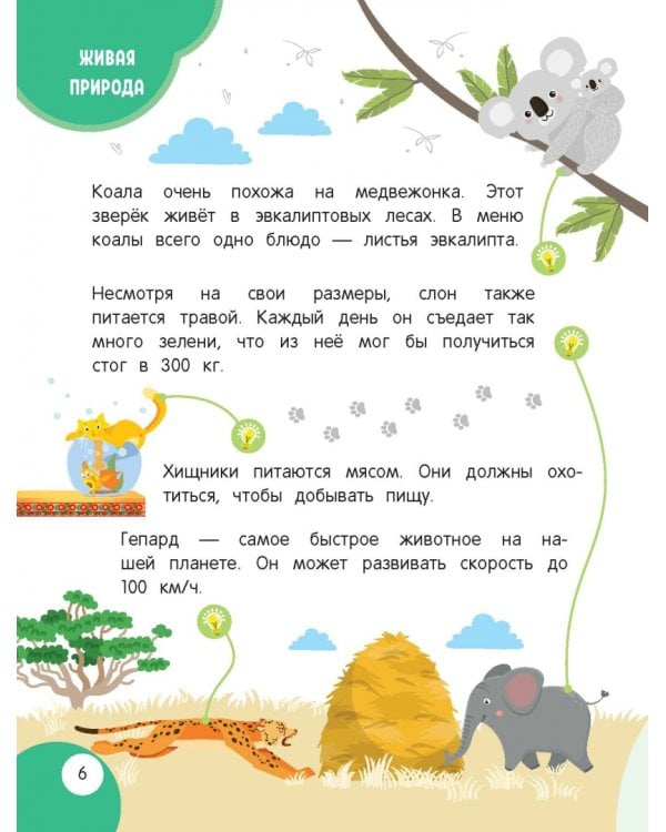 Моя первая книга открытий. Для детей от 4-х лет