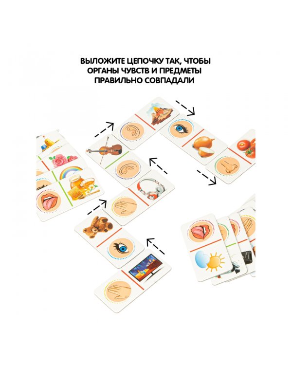 Домино. 5 чувств