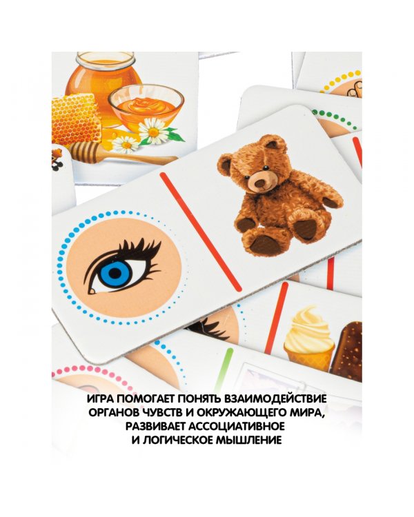 Домино. 5 чувств