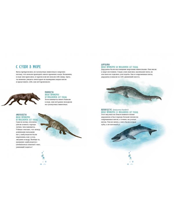 Синий кит. Невероятная история самого крупного животного всех времен