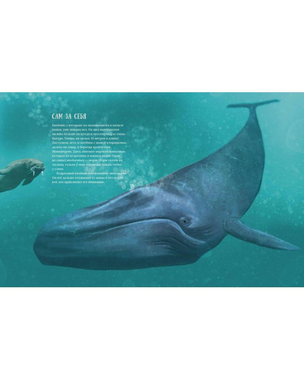 Синий кит. Невероятная история самого крупного животного всех времен