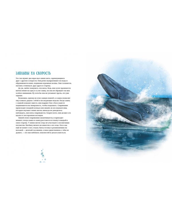 Синий кит. Невероятная история самого крупного животного всех времен