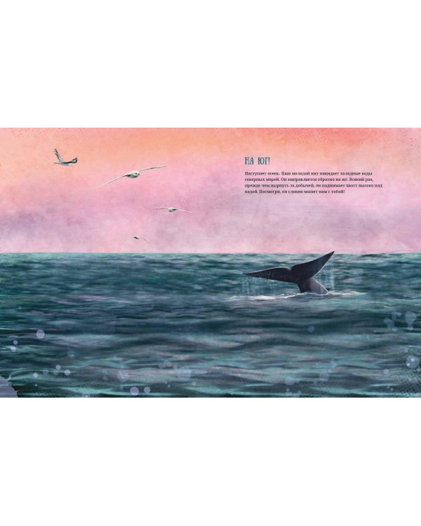 Синий кит. Невероятная история самого крупного животного всех времен