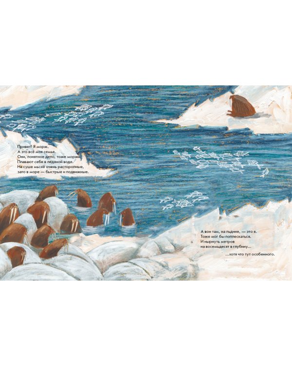 Морж как морж, ничего особенного