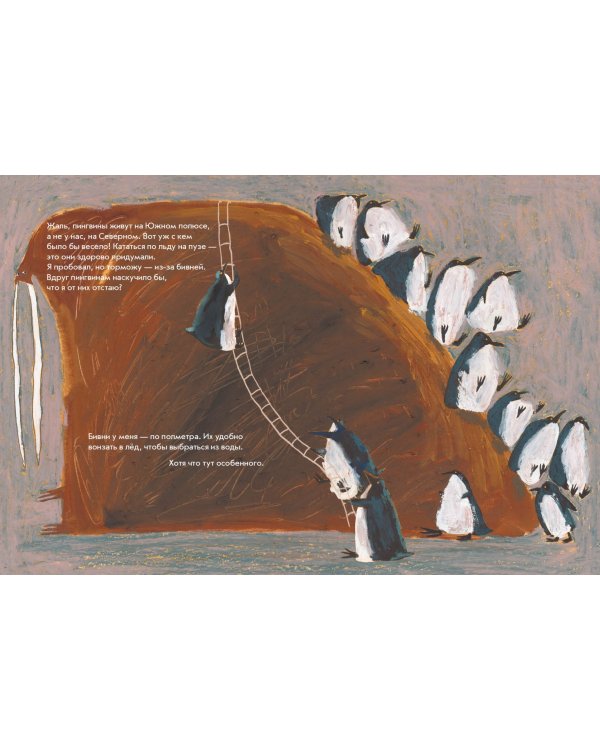 Морж как морж, ничего особенного