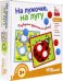 Развивающая игра. На лужочке, на лугу