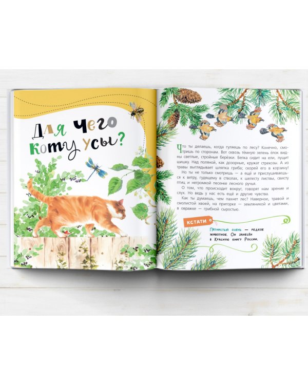 Почемучкины сказки о животных