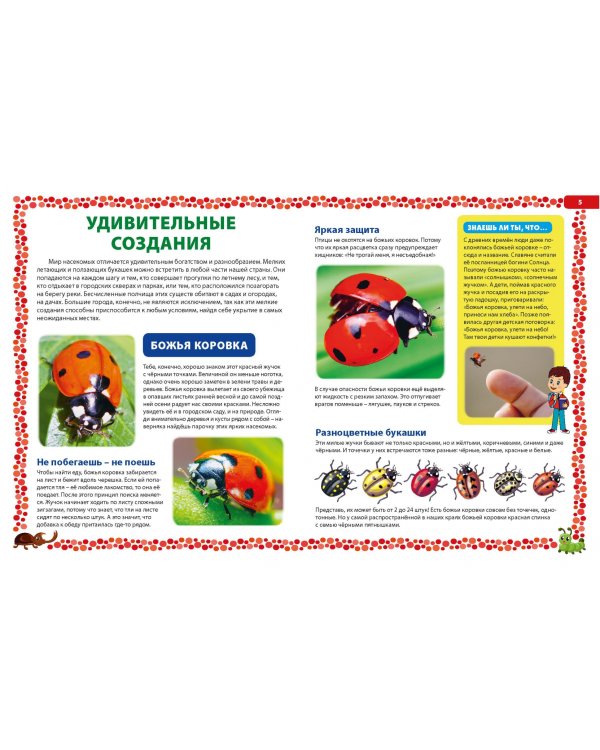 Насекомые России. Детская энциклопедия