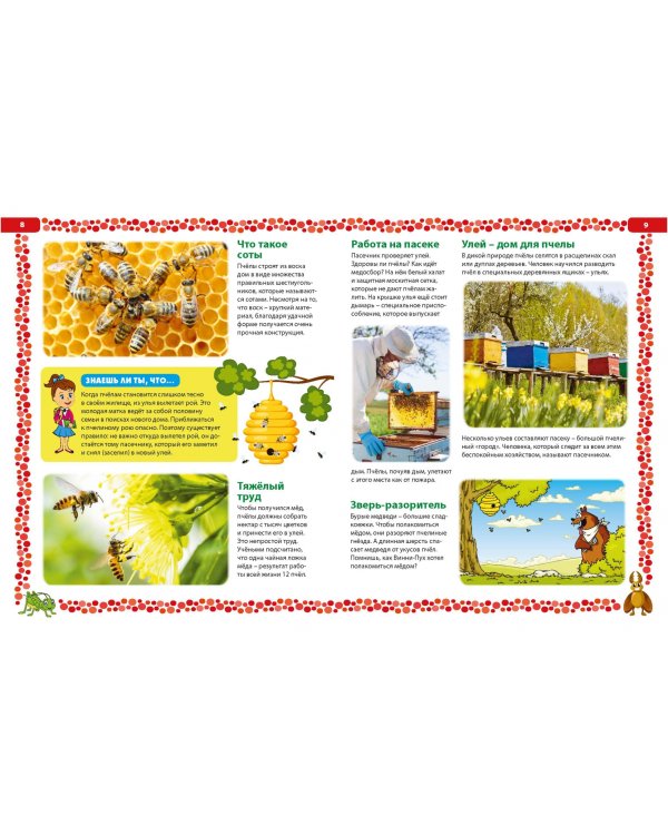 Насекомые России. Детская энциклопедия