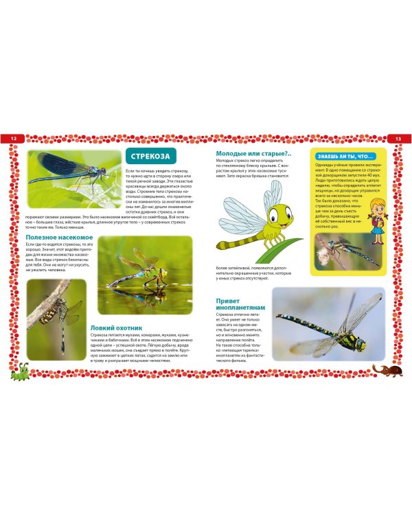 Насекомые России. Детская энциклопедия