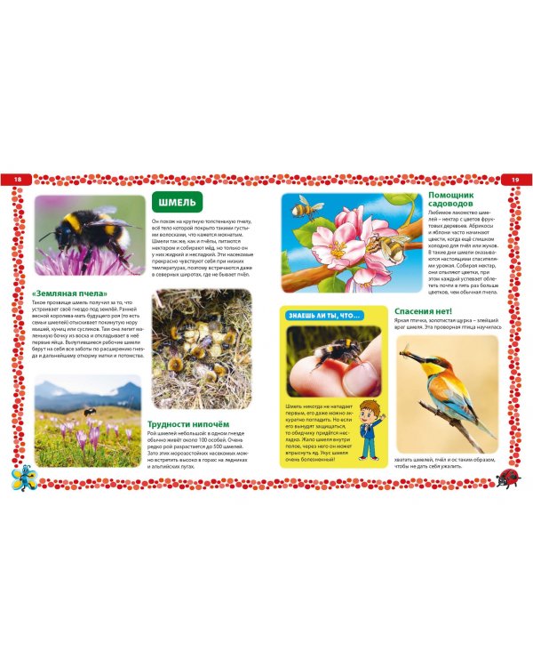 Насекомые России. Детская энциклопедия