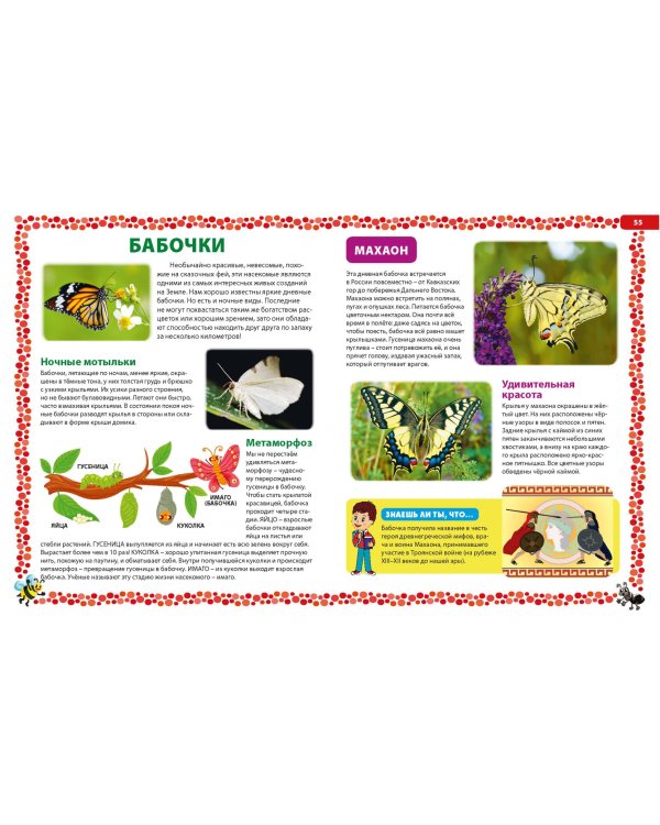 Насекомые России. Детская энциклопедия
