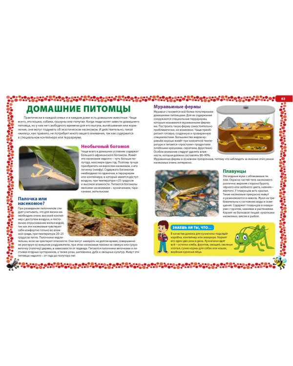 Насекомые России. Детская энциклопедия