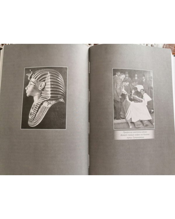 Боги, гробницы, ученые. Археологический роман