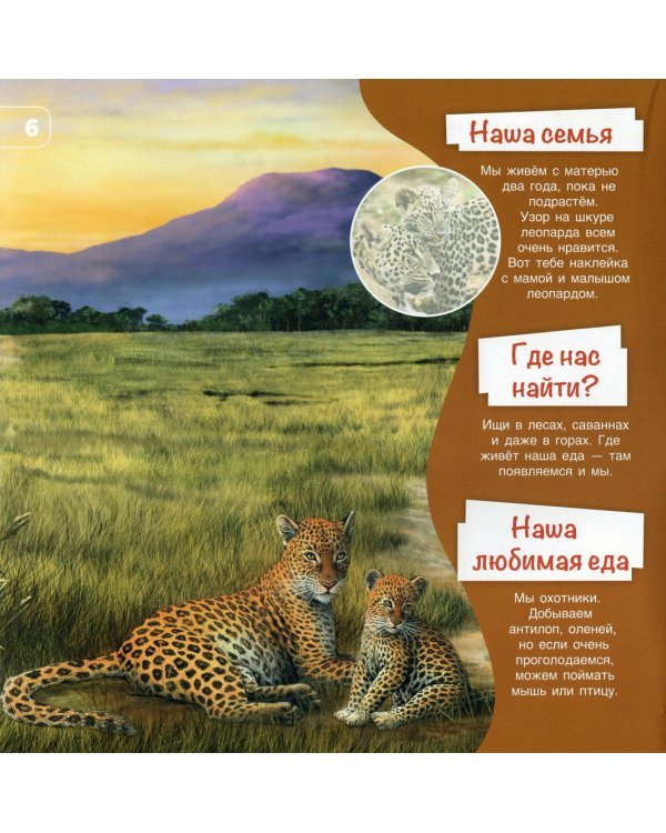 Познакомимся поближе! Животные Африки