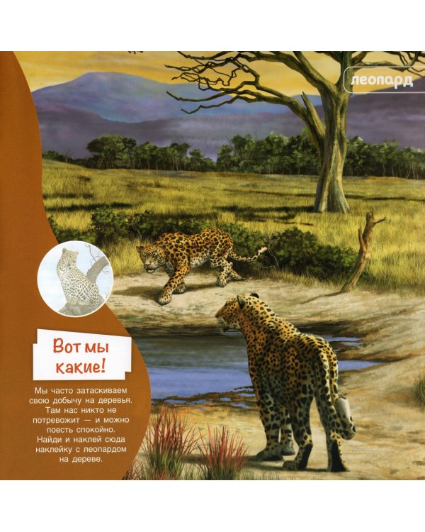 Познакомимся поближе! Животные Африки