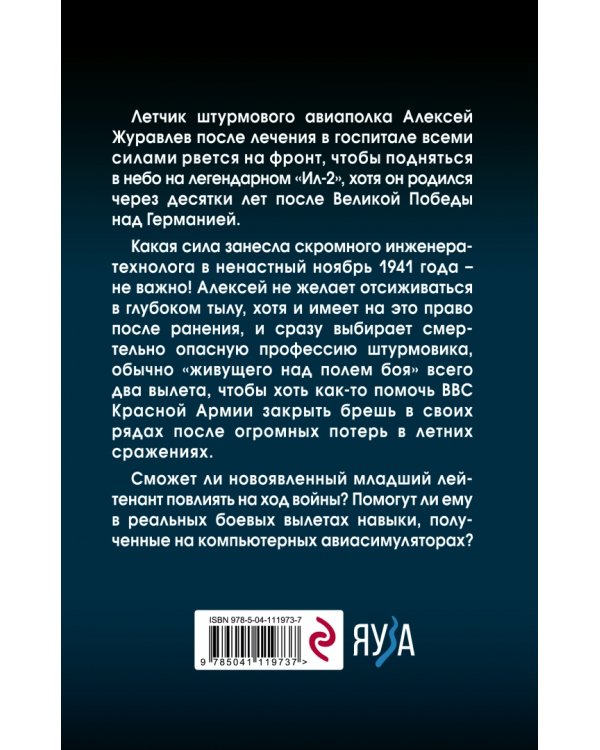 Штурмовик. Крылья войны