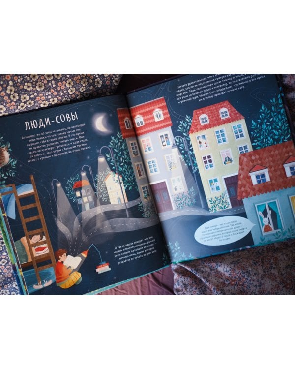 Наступает ночь… Что происходит, пока ты спишь