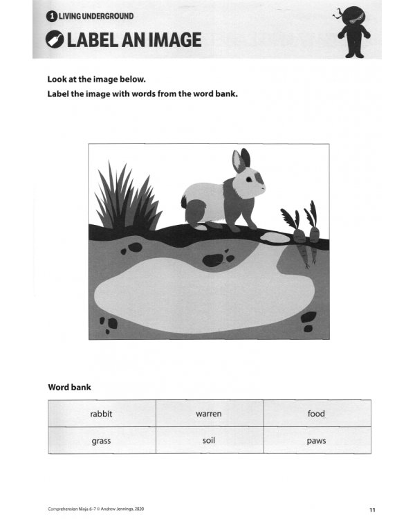 Comprehension Ninja for Ages 6-17. Non-Fiction. Worksheets for Year 2