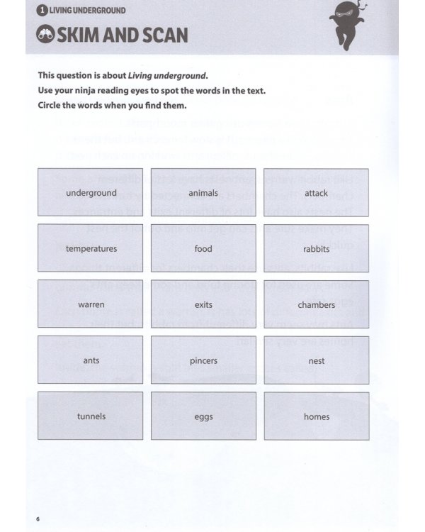 Comprehension Ninja Workbook for Ages 6-7