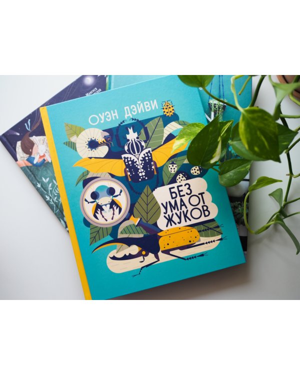 Без ума от жуков