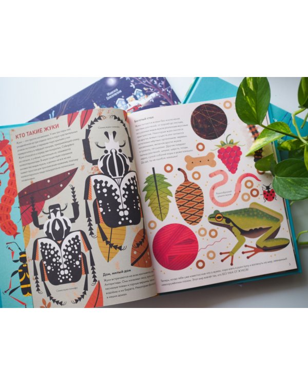 Без ума от жуков