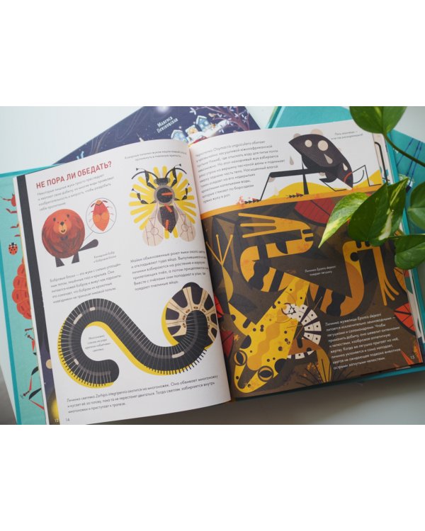 Без ума от жуков