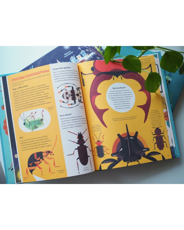 Без ума от жуков