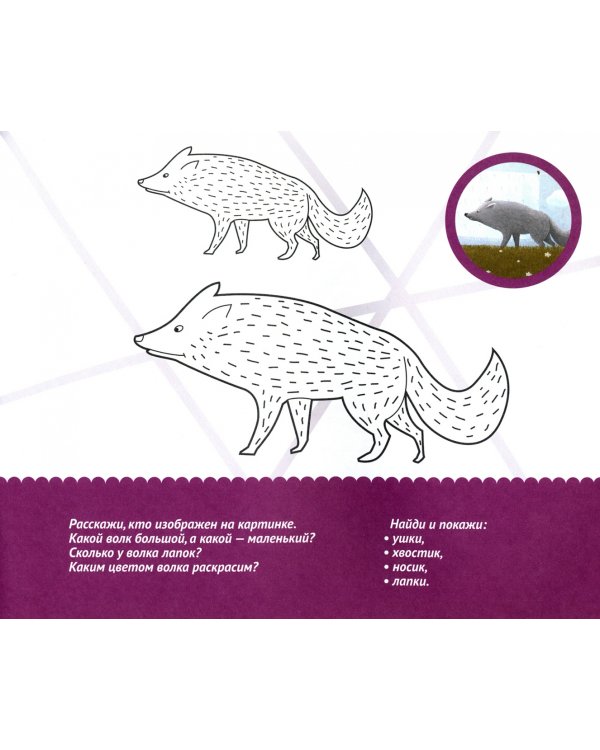 Раскраска с заданиями "Любимые сказки" 2+