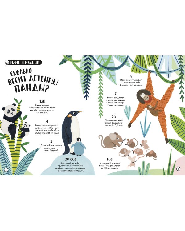 Сколько пятен у гепарда? Нескучные факты обо всем на свете