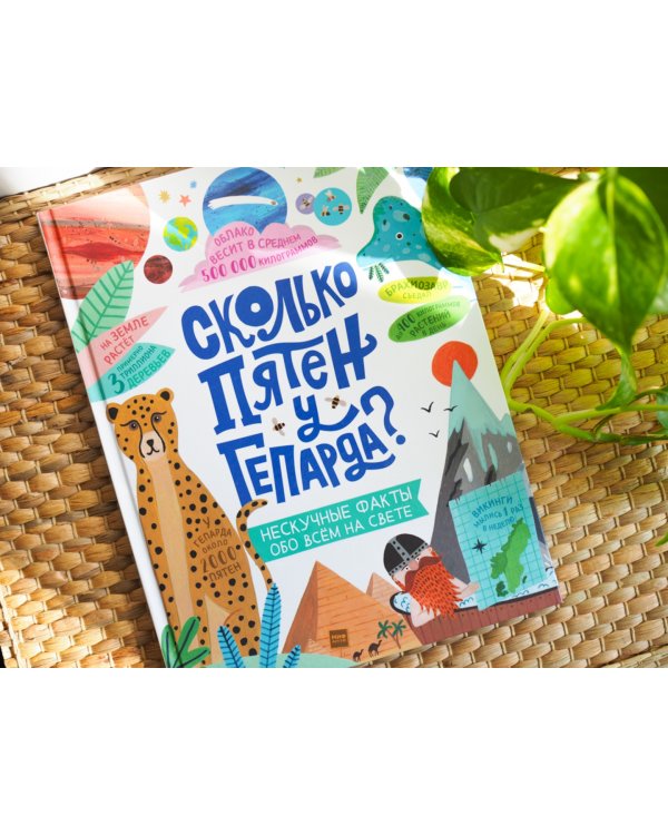 Сколько пятен у гепарда? Нескучные факты обо всем на свете