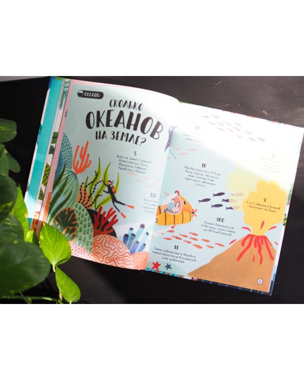 Сколько пятен у гепарда? Нескучные факты обо всем на свете