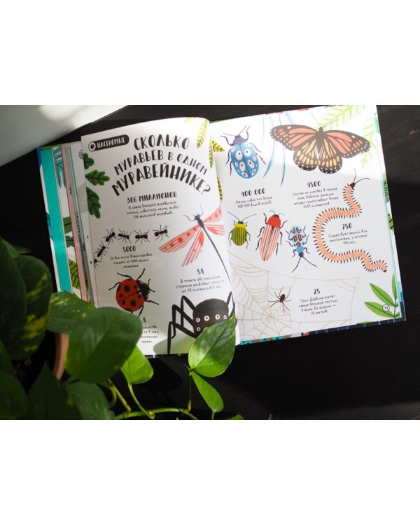 Сколько пятен у гепарда? Нескучные факты обо всем на свете