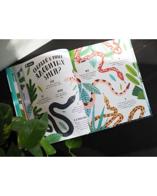 Сколько пятен у гепарда? Нескучные факты обо всем на свете