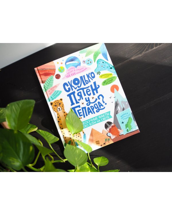 Сколько пятен у гепарда? Нескучные факты обо всем на свете