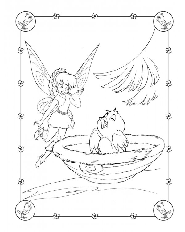 Феи. Раскраска № 12 (Динь-Динь и Теренс)