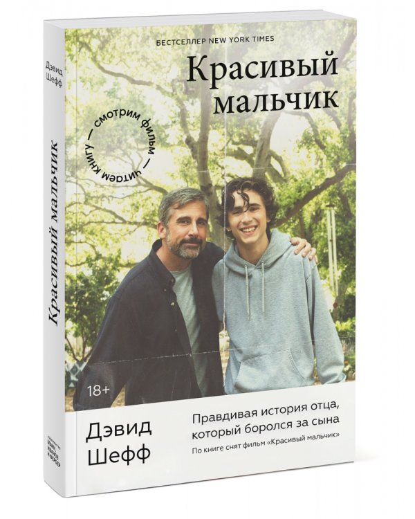 Красивый мальчик. Правдивая история отца, который боролся за сына