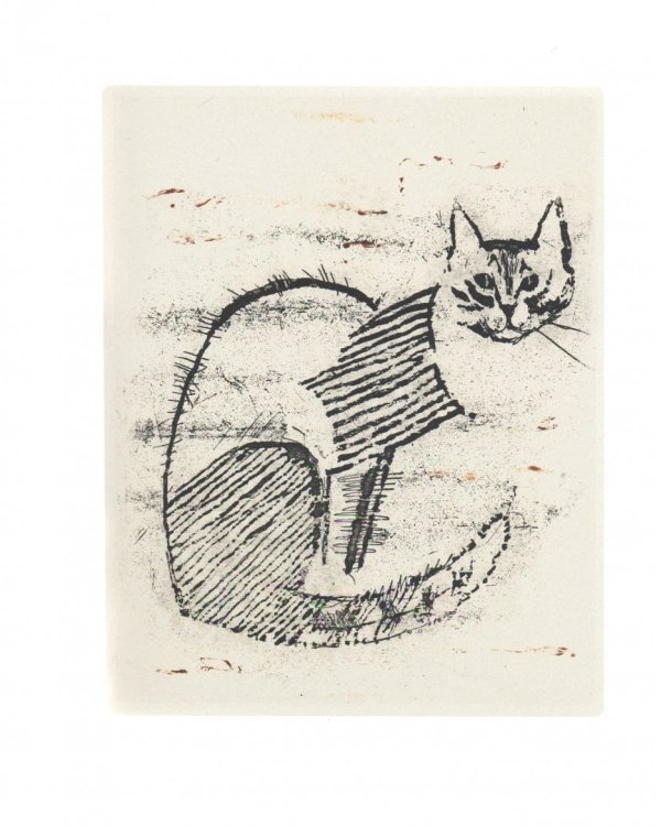 Жизнь плюс кошка. Офорты, пословицы и цитаты, посвященные кошке