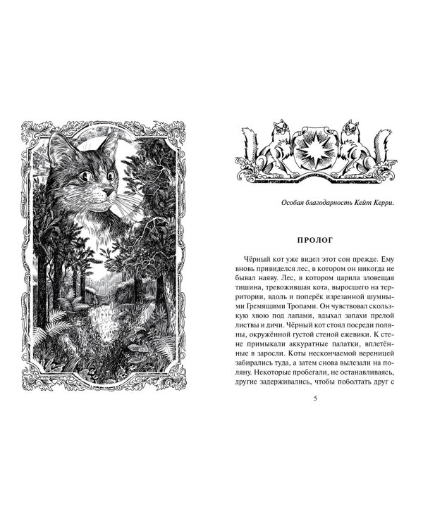 Тень Когтегрива. Видения